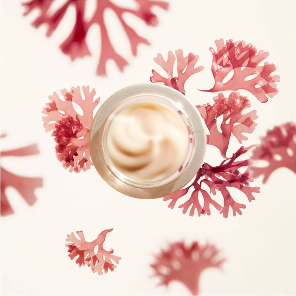 Shiseido Benefiance Wrinkle Smoothing Cream – anti-aging cream for smoother skin