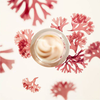 Shiseido Benefiance Wrinkle Smoothing Cream – anti-aging cream for smoother skin