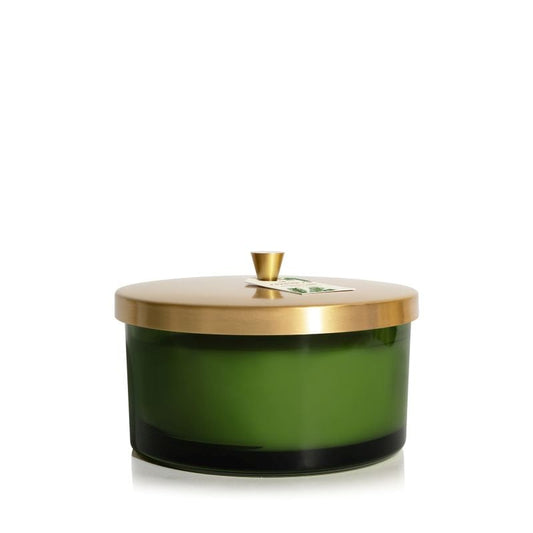 Thymes Frasier Fir Green 4-Wick Candle – festive pine-scented candle with elegant design.